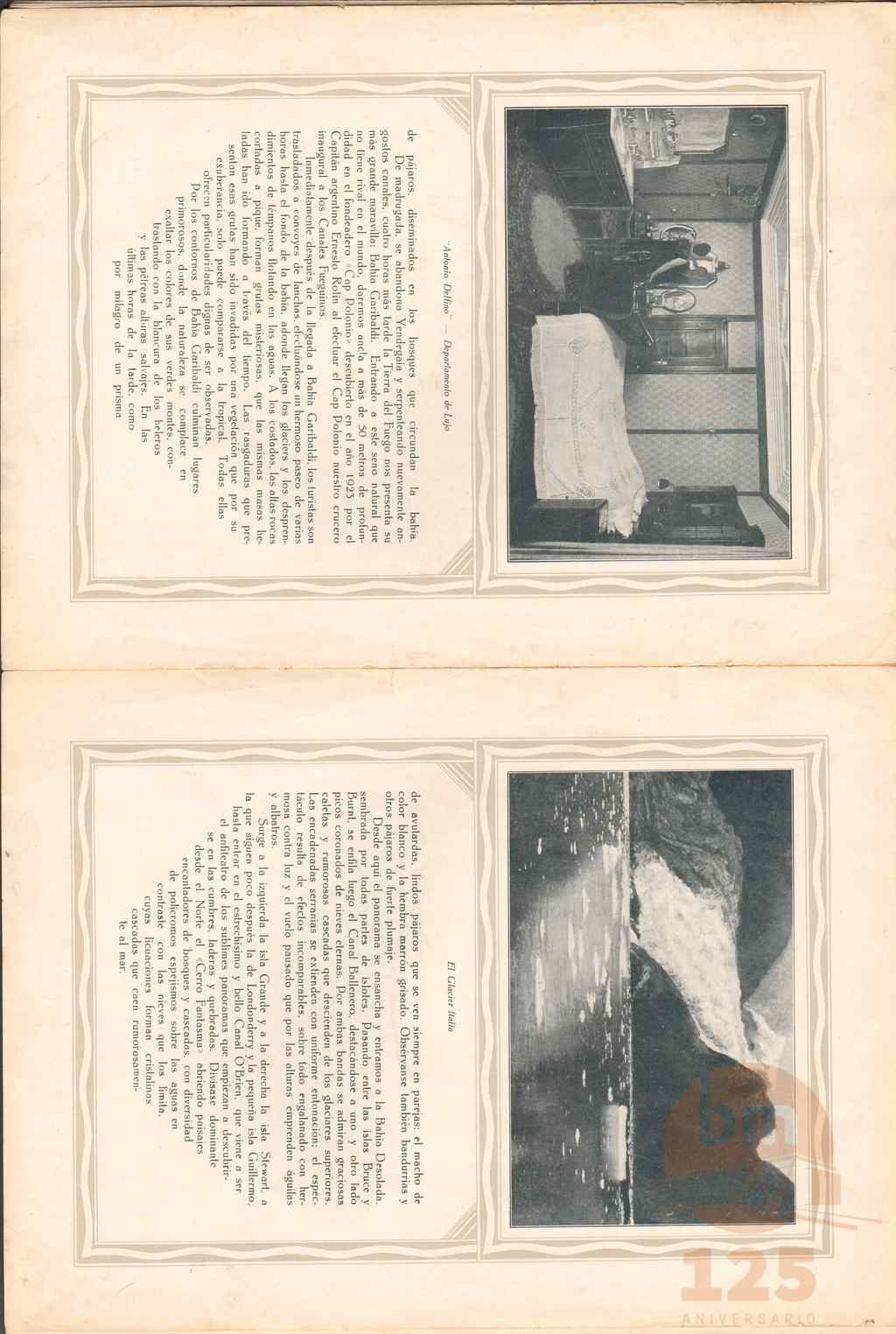 MDS31118_ds.jpg