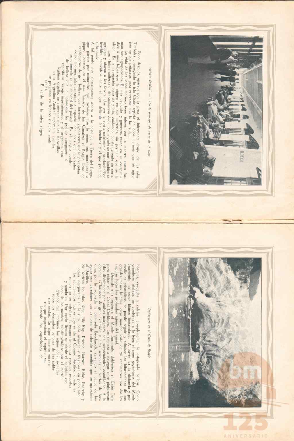 MDS31119_ds.jpg
