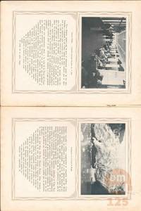MDS31119_ds.jpg